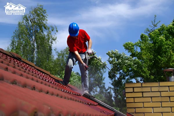 Roof Cleaning: Benefits, Costs, and How to Choose the Right Service